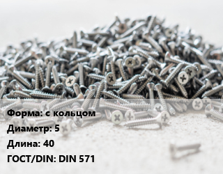 Шуруп с кольцом 5х40 ГОСТ: DIN 571, упаковка 1000 шт цена от 2824 сом / кг, где купить, условия доставки в Оше и Ошской области